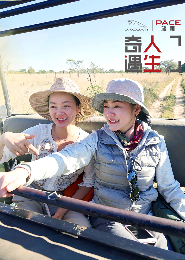 奇遇人生悠享版